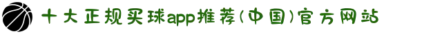 十大正规买球app推荐(中国)官方网站